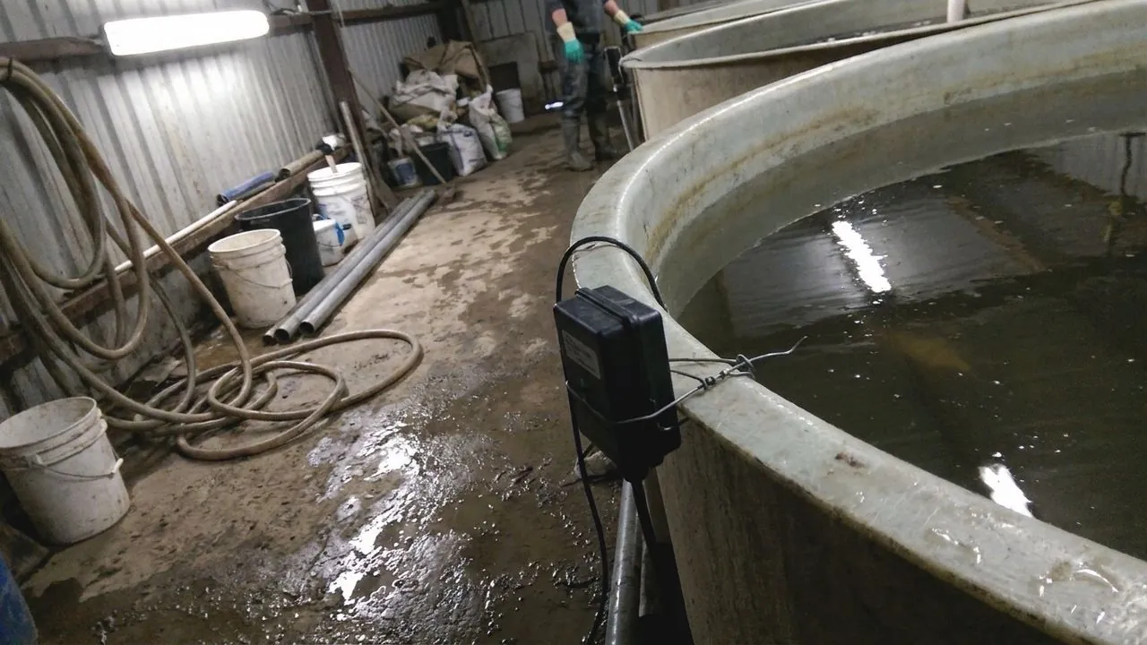 Aquaculture water tanks and netting.